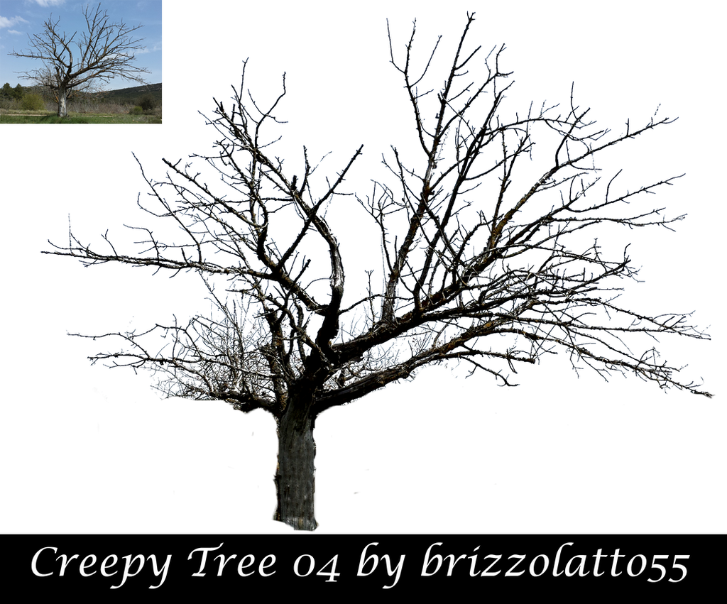 Creepy Tree 04