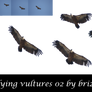 Flying Vultures 02