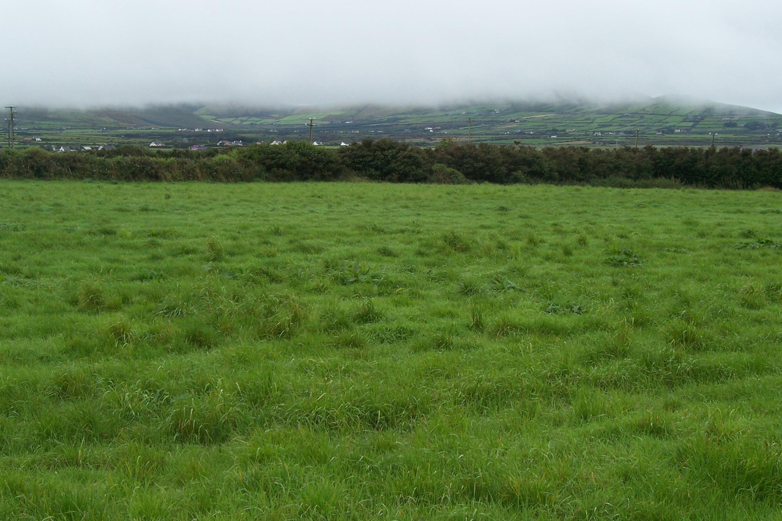 Eire Stock (52) by Brizzolatto55