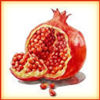 Icon - Pomegranate by fmr1
