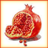 Icon - Pomegranate by fmr1