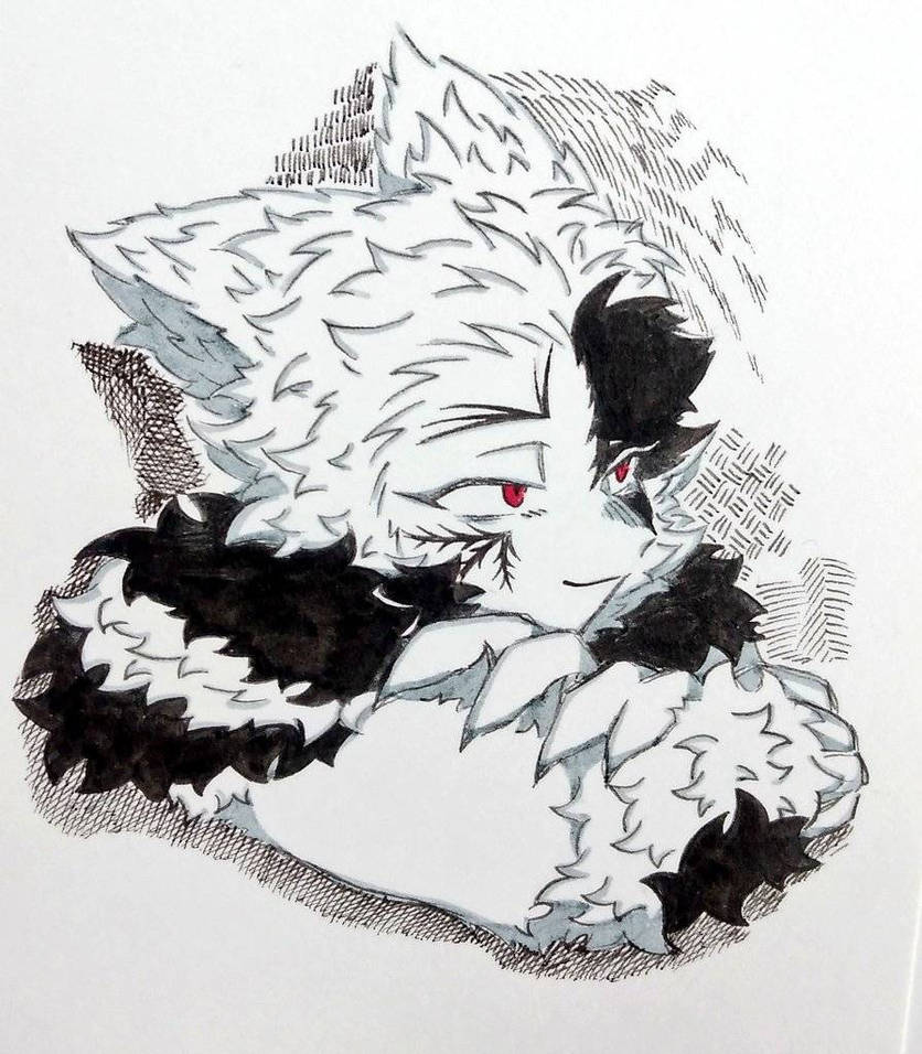 rumpus cat by suisui01 on DeviantArt