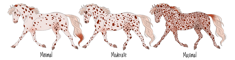 RESOURCE | Leopard Complex by rattlesnakeadmin on DeviantArt