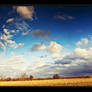Crossing a field