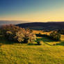the valley