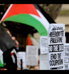 Free Palestine Demo 4