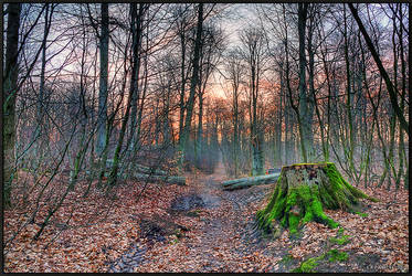 Logging Track.