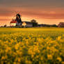 The Mill..