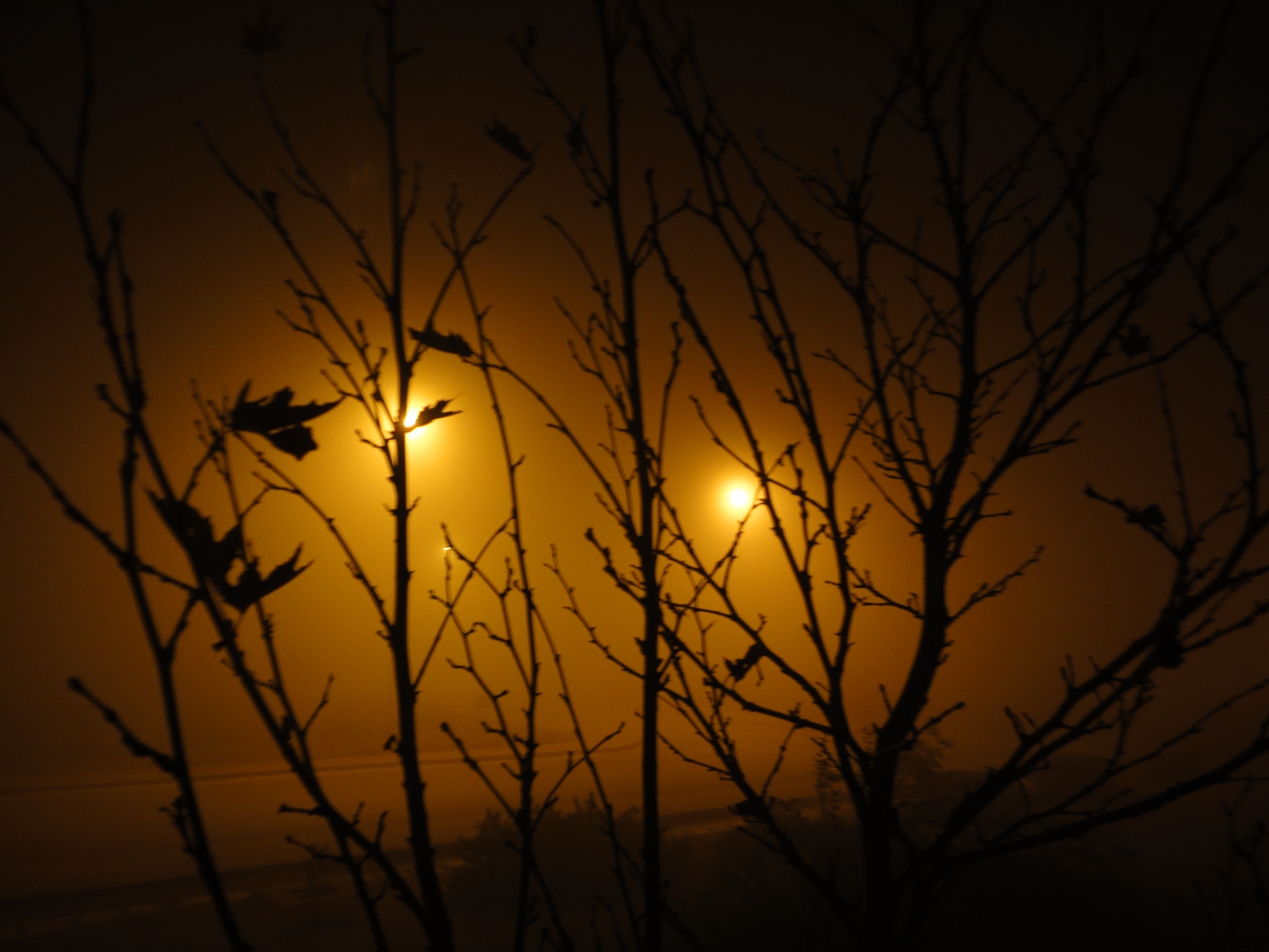 Fog at Night II