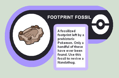 Footprint fossil