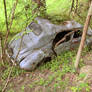 forgotten 4 CV
