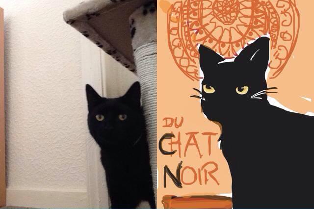 Du Chat Noir