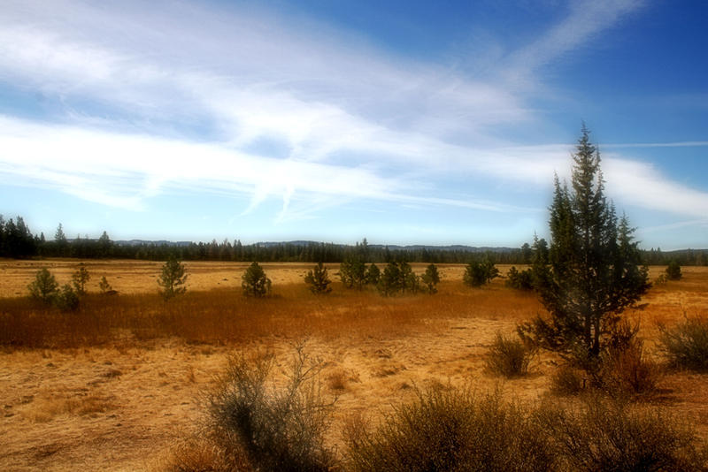 STOCK- Barlow Field 1a by AmethystUnderwood