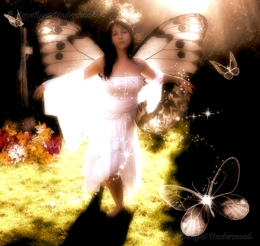 The White Butterfly...