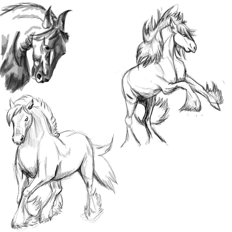 Dynamic Horse Reference Horse Poses: Study1 by FlameFoxe on DeviantArt