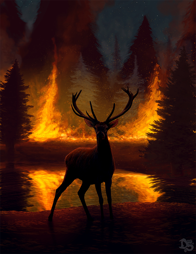 Wildfire