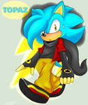 (GIFT) Topaz the Hedgehog by SonicForTheWin2