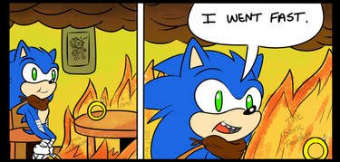 The Sonic Fandom