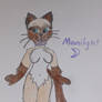 My Cats 2019 OC Moonlight