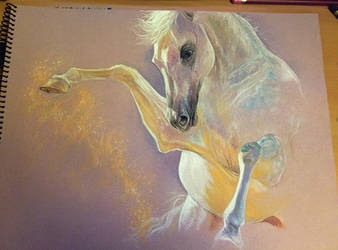 Arabian horse PASTEL by Topelune