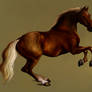 Whistlejacket II