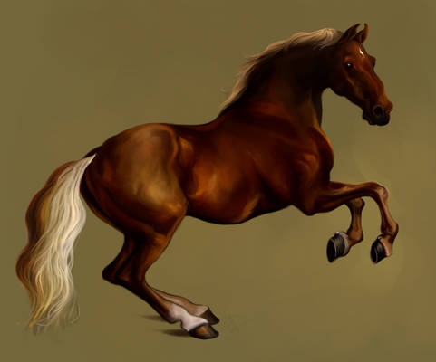 Whistlejacket II