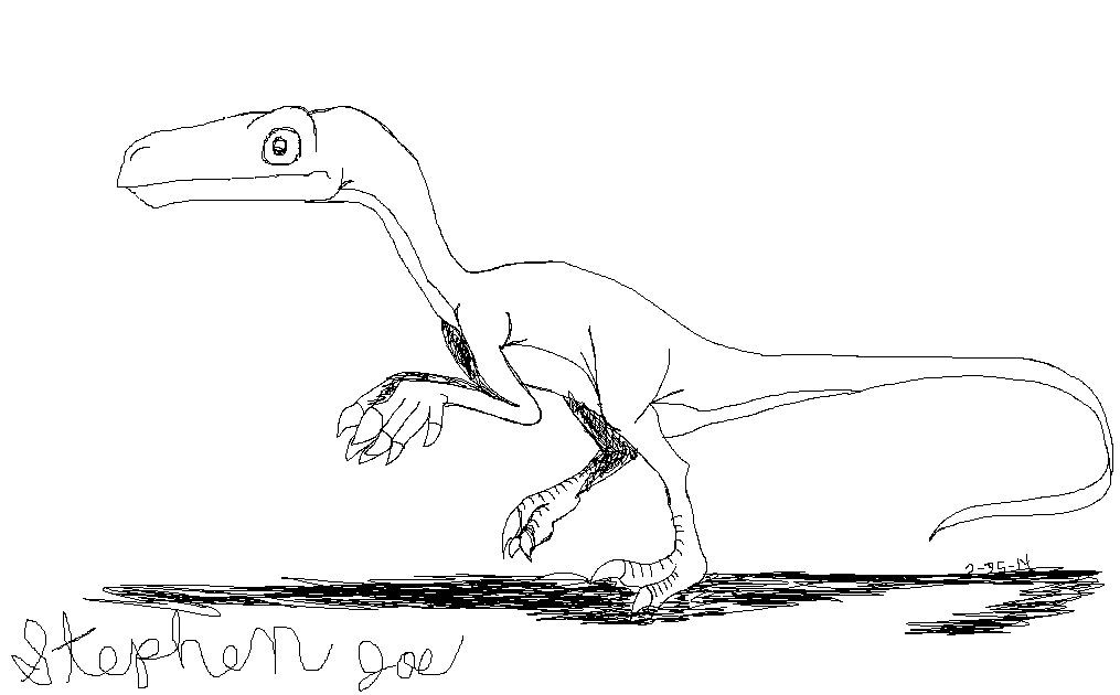 Coelophysis