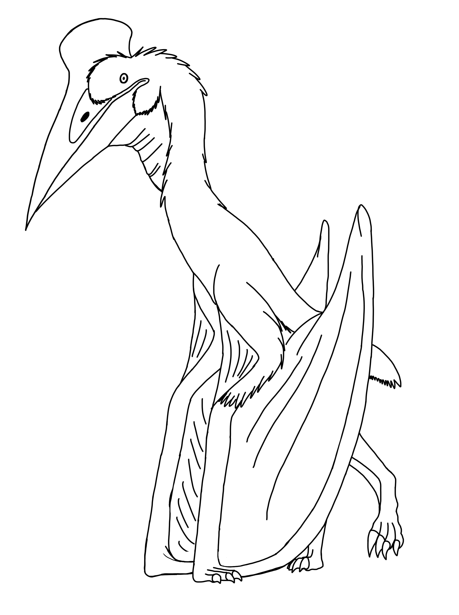 Quetzalcoatlus Coloring Page Art