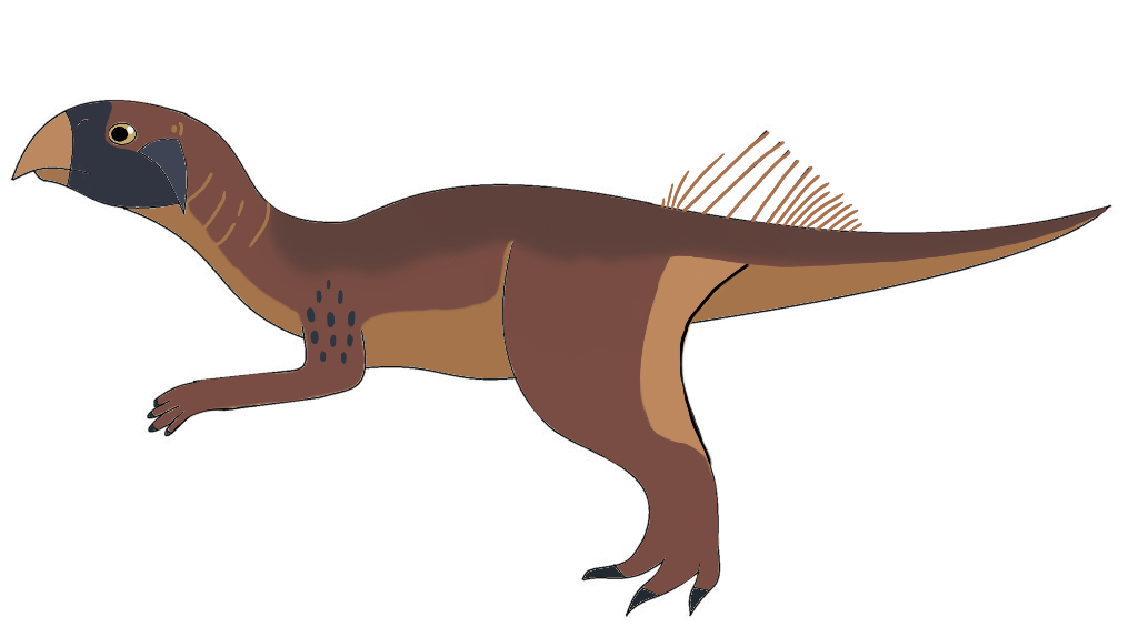 Dinossword's Psittacosaurus sp