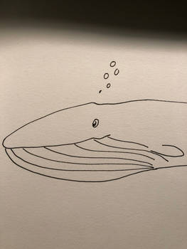 Day 12: Whale