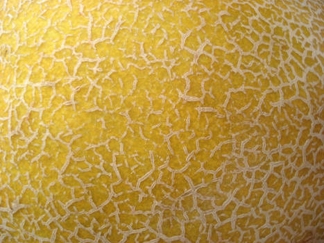 yellow melon texture