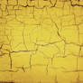 yellow cracks texture