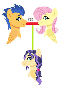 FlutterFlash Family tree