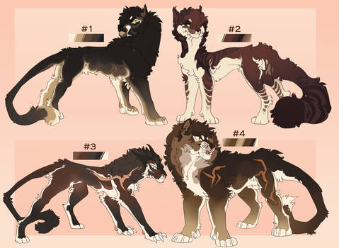 MYSTERY WARRIORS Adopts | 0/4 CLOSED