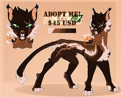 WARRIORS Mini Ref Adoptable! OPEN