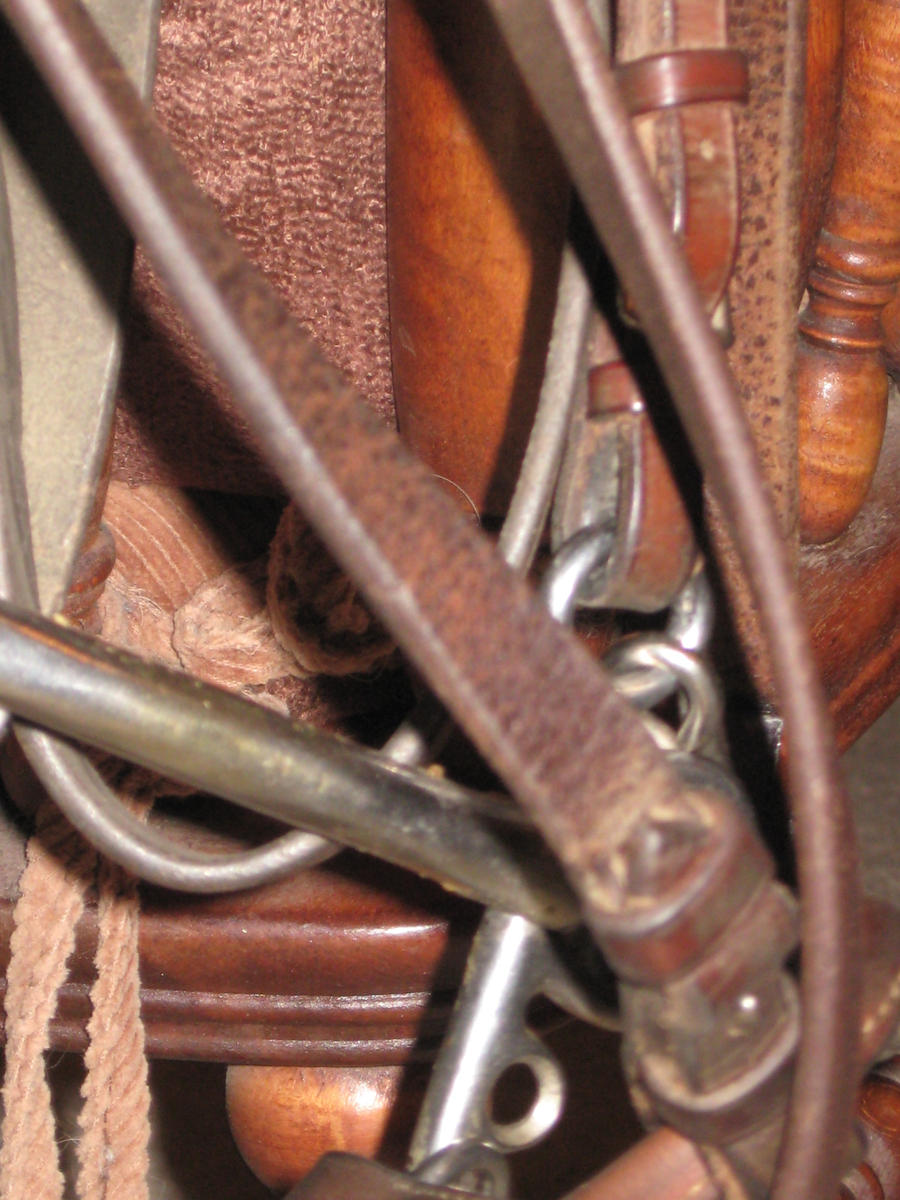 pelham bit in English Bridle