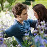 Edward Bella Eclipse Wallpaper