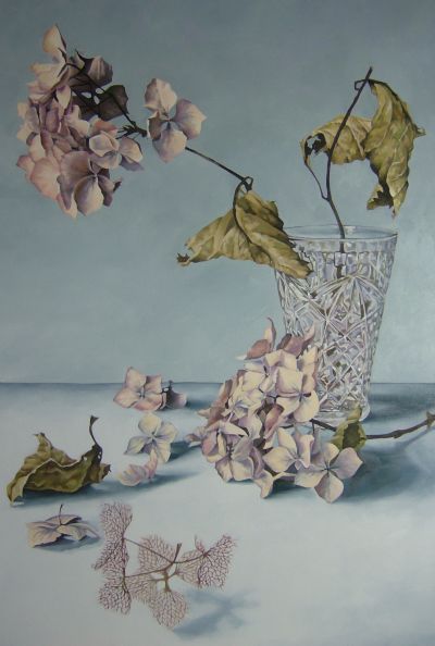 Hydrangea VII