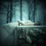 In The Sleeping Death by Corvinerium