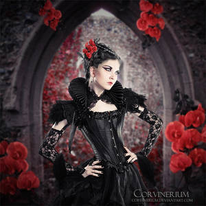 Sanguineous by Corvinerium Sanguineous by Corvinerium