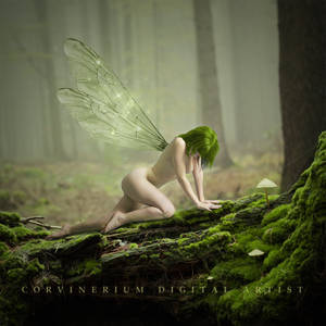 A Place No One Knows by Corvinerium A Place No One Knows by Corvinerium