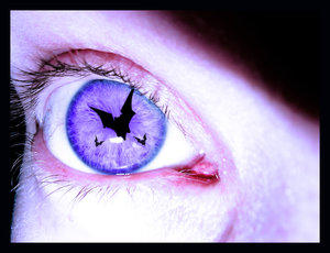 bat eye by xstdx