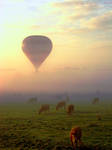 balloon n' cows by sarah-lee-willnickle