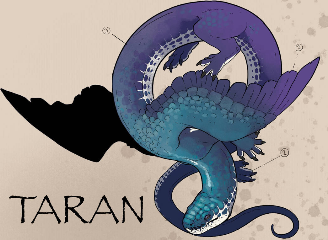 Taran Icon AF TARAN by MountWhitney on DeviantArt