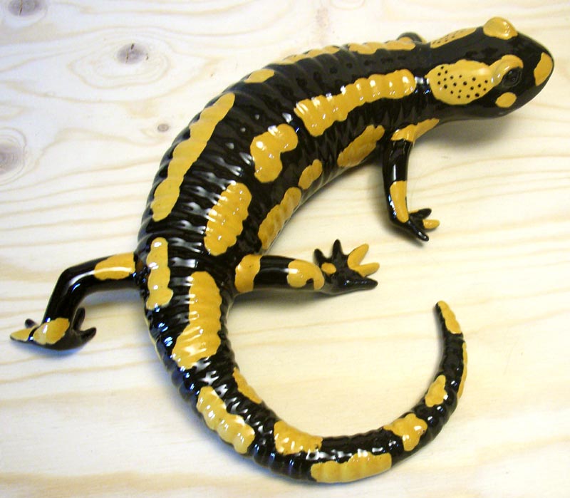 European Fire Salamander