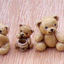 Tiny Honey Bears