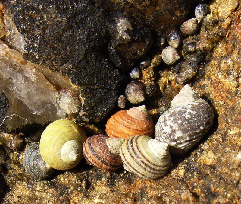 Shell Suits by Hippopottermiss on DeviantArt