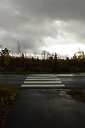 Crosswalk for the owls