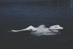 Deep lakes and other eternal resting sites by nile-can-too