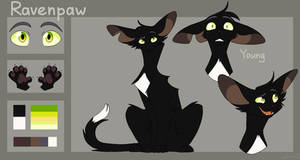 Ravenpaw